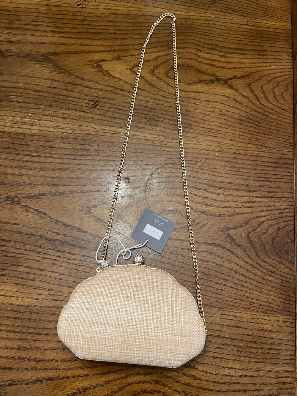Haute Hippie Pink & Cream Shell-Embroidered Clutch with Gold Chain - Picture 7 of 15